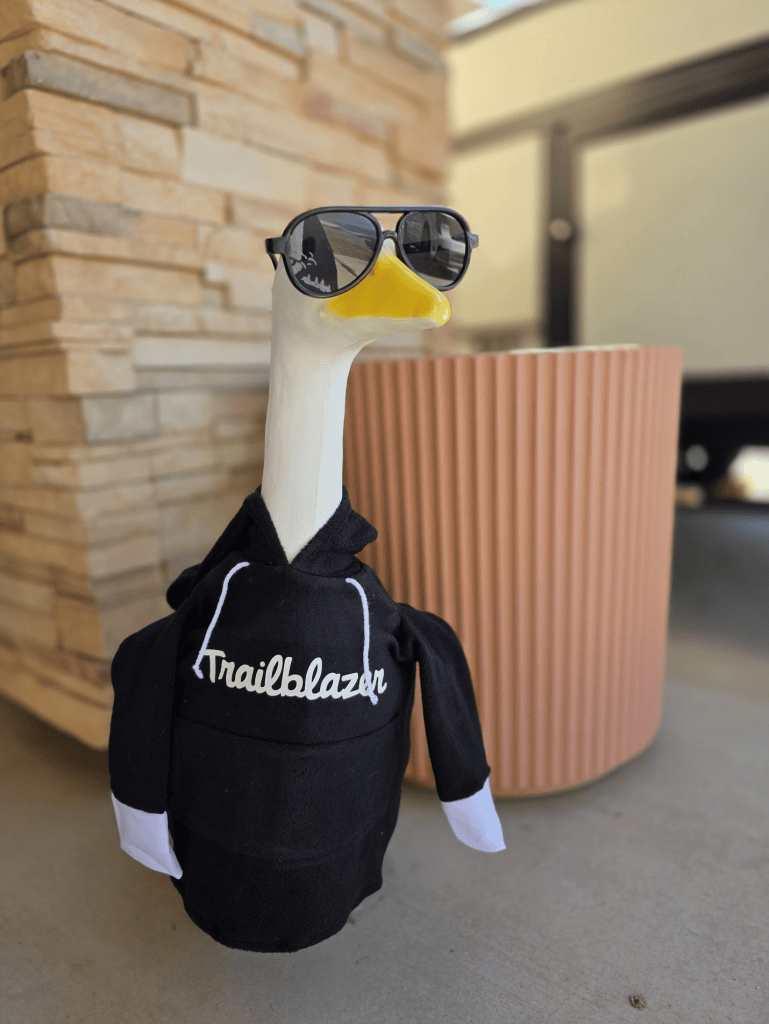 A dressed-up goose wearing sunglasses and a black hoodie with 'Trailblazer' written on it, standing next to a decorative planter.